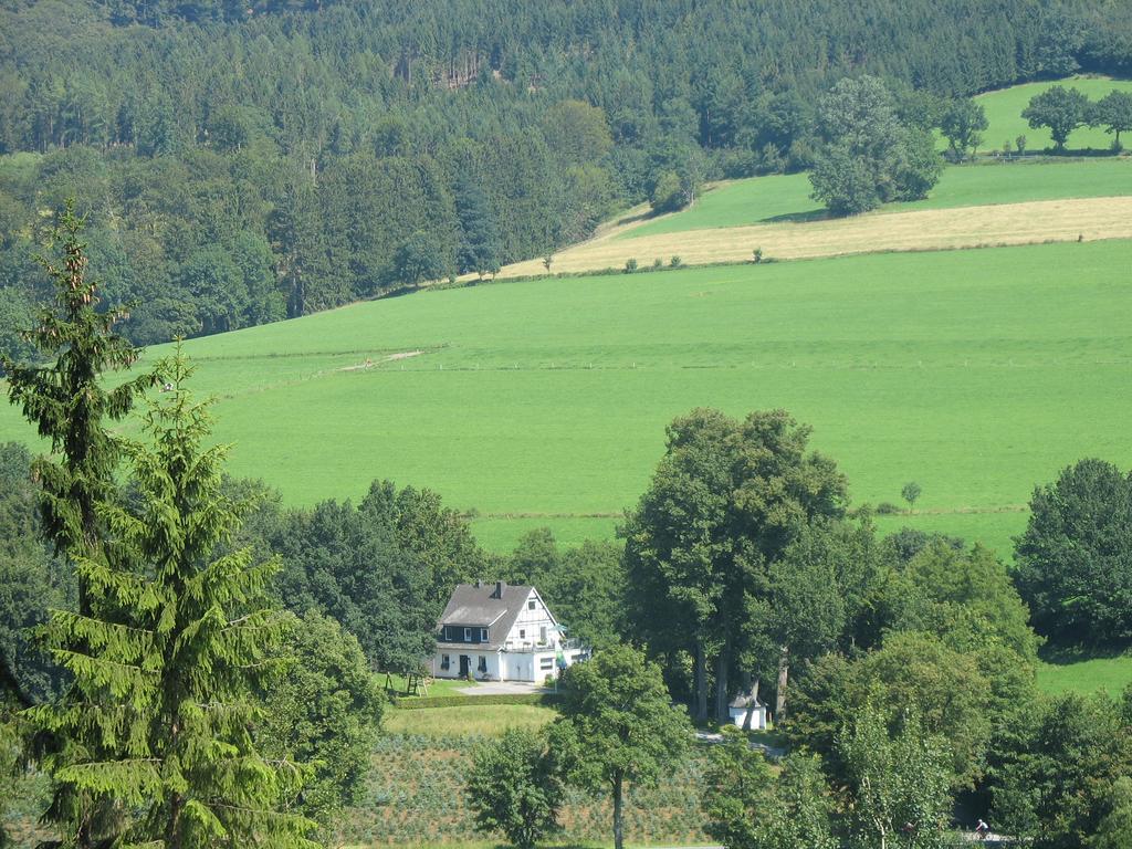 Pension Haus Am Walde Шмалленберг Екстер'єр фото