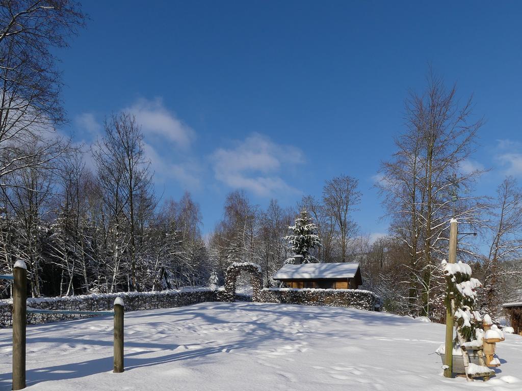 Pension Haus Am Walde Шмалленберг Екстер'єр фото