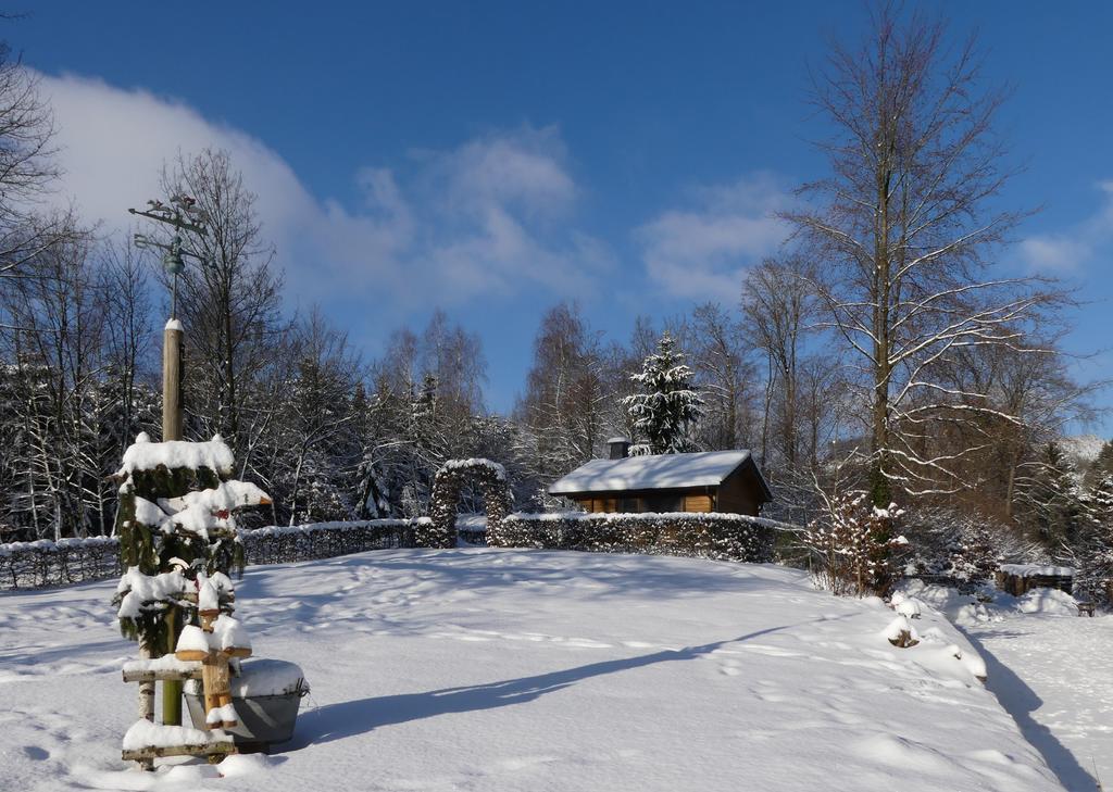 Pension Haus Am Walde Шмалленберг Екстер'єр фото